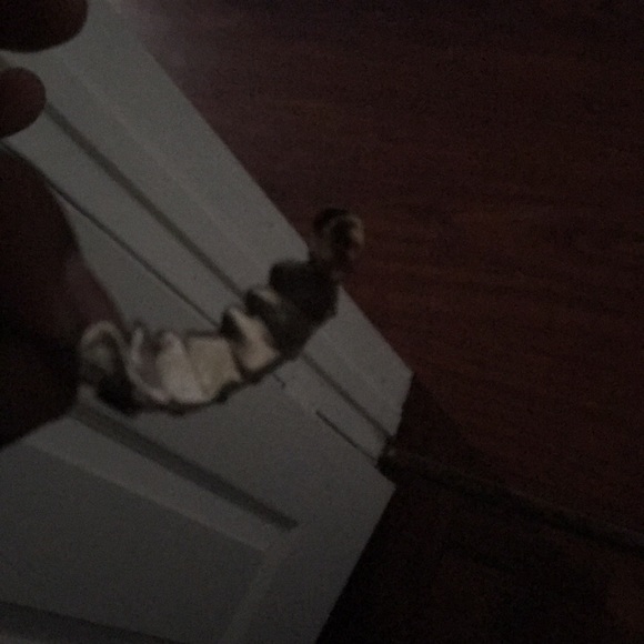 Grill - Picture 2 of 3